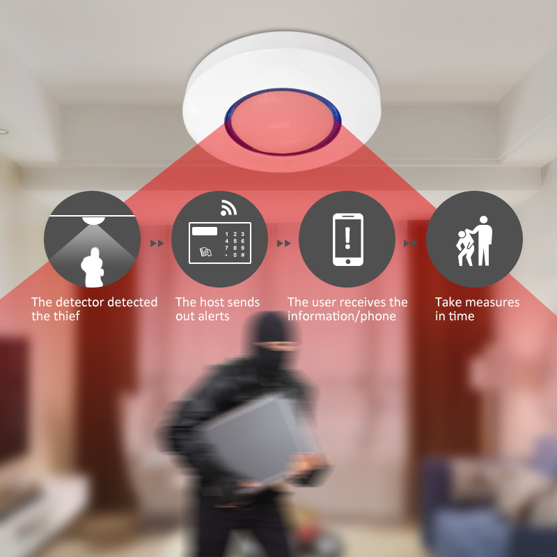 Pet Immune Pir Sensor - Détecteur de mouvement PIR sans fil
