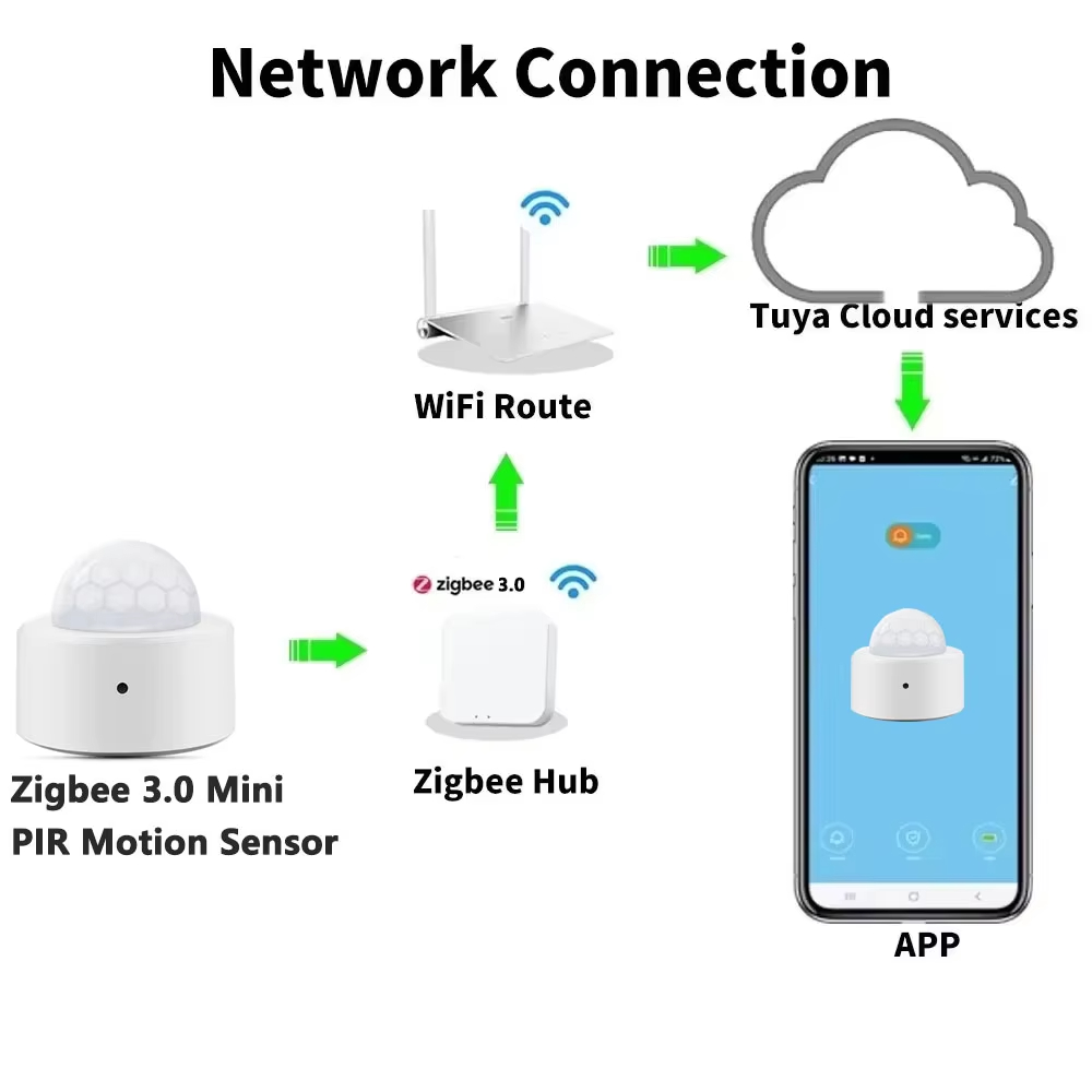 Mini détecteur de mouvement PI - Home Security Alexa avis et prix