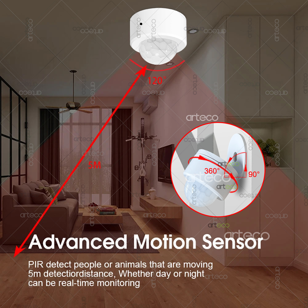 Ewelink Zigbee PIR capteur de  - Home Security Alexa avis et prix