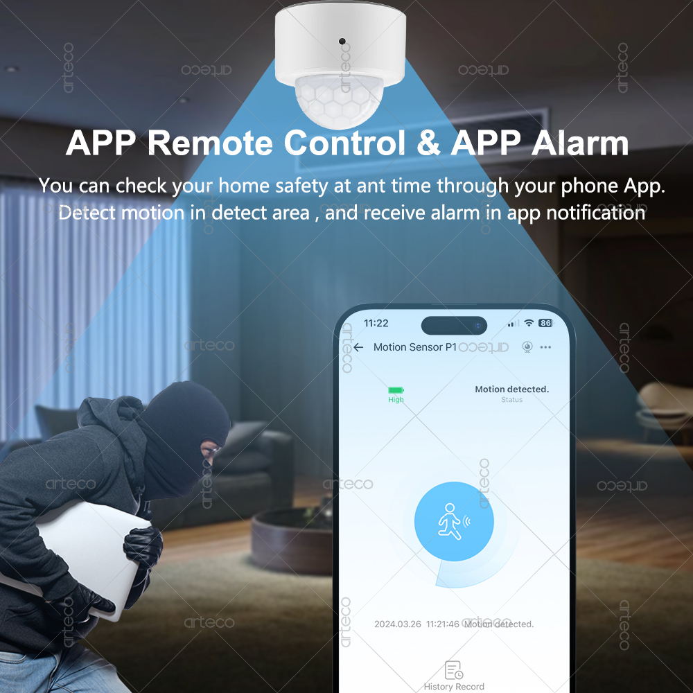 Ewelink Zigbee PIR capteur de  - Home Security Alexa avis et prix