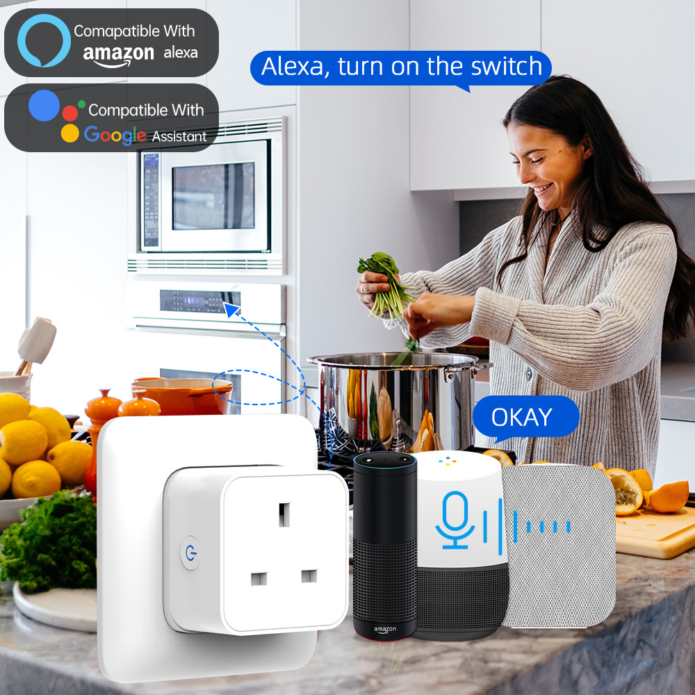 Prise intelligente Tuya 16A/20 - Home Security Alexa avis et prix