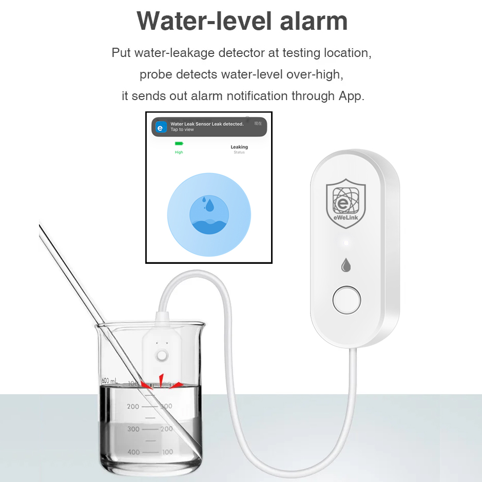 EWelink Zigbee – capteur de fu - Home Security Alexa avis et prix