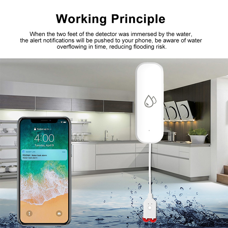 Capteur d'alarme de fuite d'ea - Home Security Alexa avis et prix
