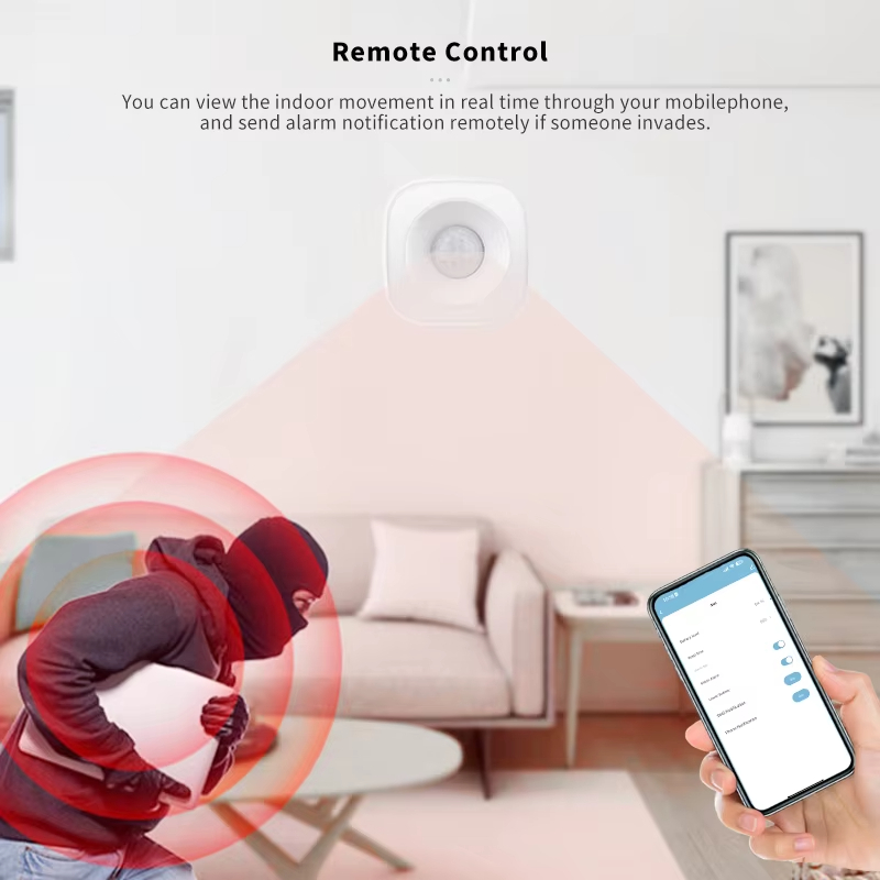Tuya Zigequation-Capteur de mo - Home Security Alexa avis et prix