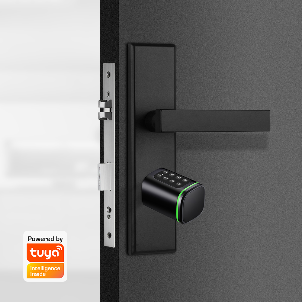 Serrure à cylindre intelligent - Home Security Tips avis et prix
