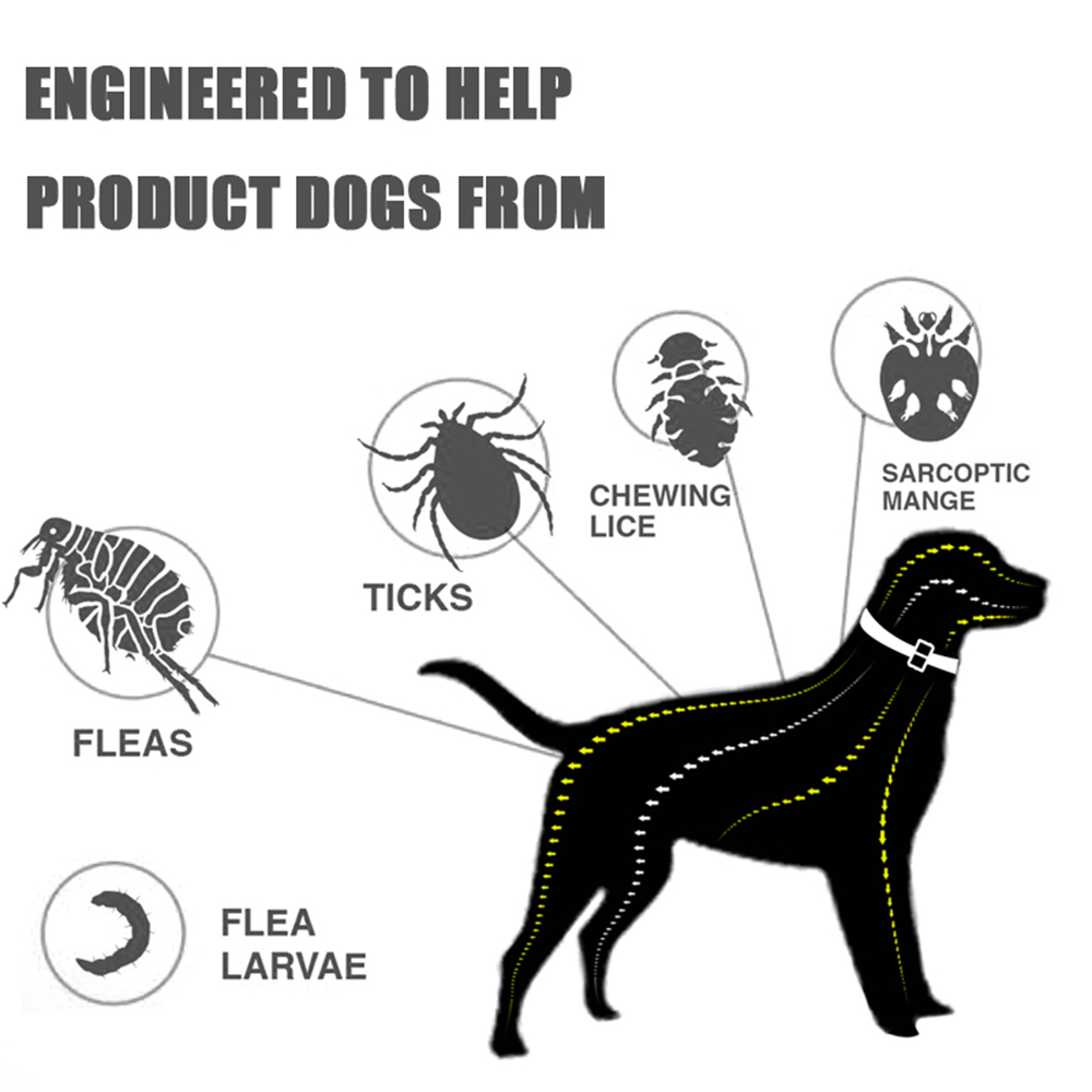 Collier anti-puces et anti-tiq - Pet Immune Pir Sensor avis et prix